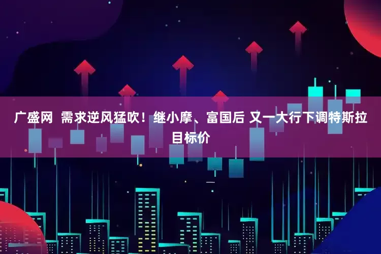 广盛网  需求逆风猛吹！继小摩、富国后 又一大行下调特斯拉目标价