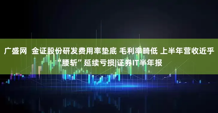 广盛网  金证股份研发费用率垫底 毛利率畸低 上半年营收近乎“腰斩”延续亏损|证券IT半年报